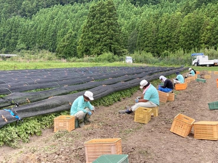 新入社員研修2021 第17回 ほのぼの日記 九鬼産業