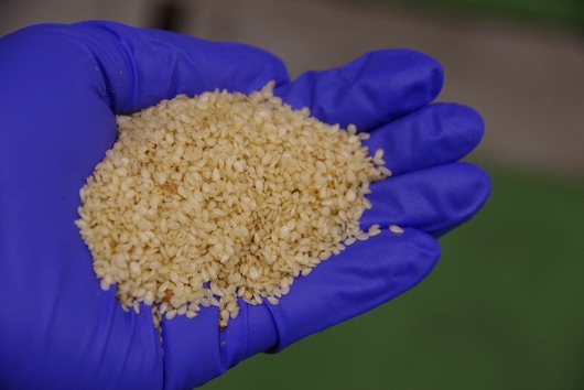 ★水洗いしている様子