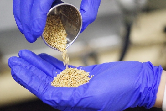 ★焙煎機でごまを焙煎している様子