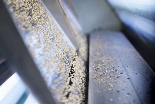 ★選別している様子(色彩選別機内が良い)