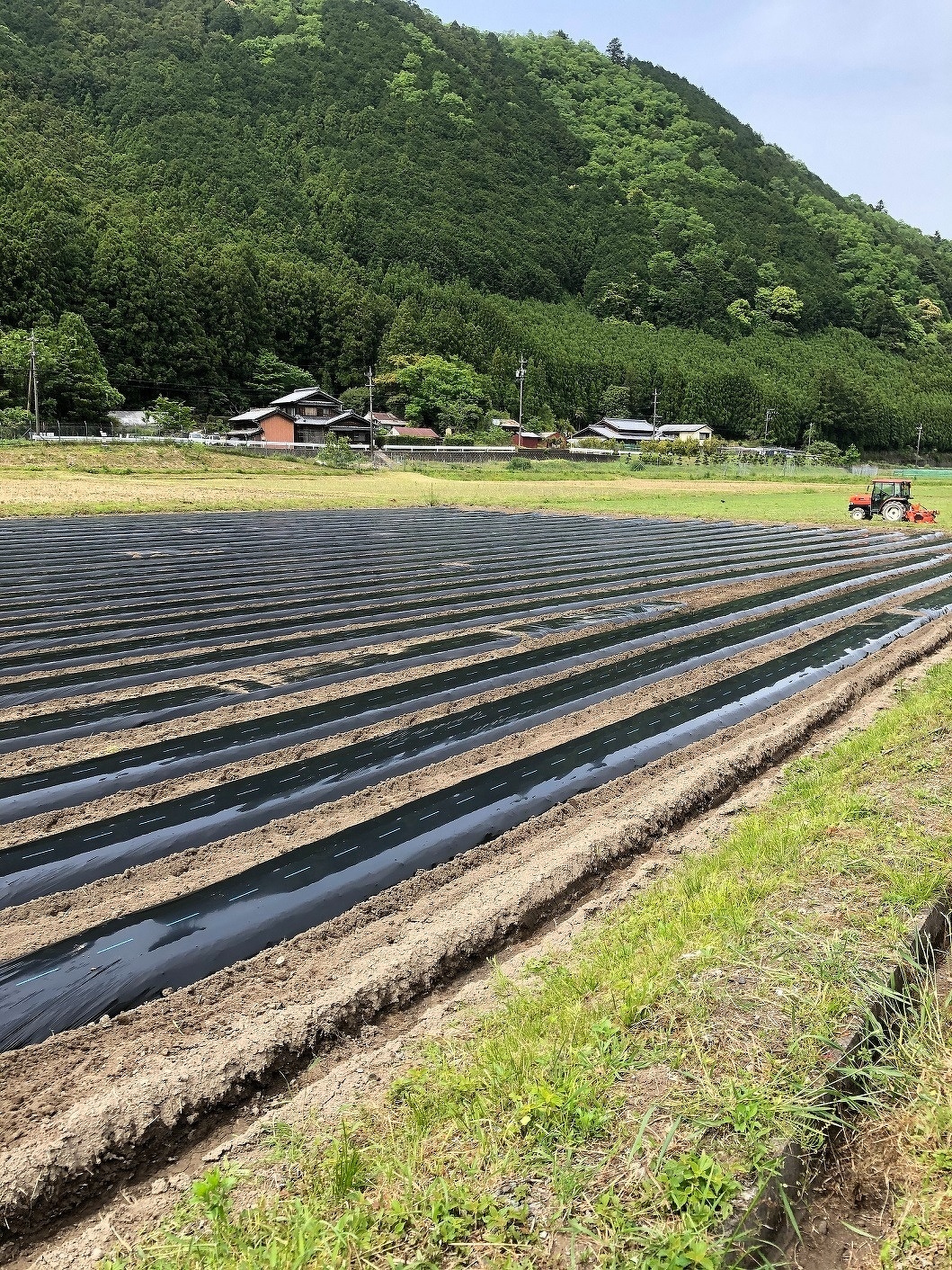 新入社員研修2021 第3回