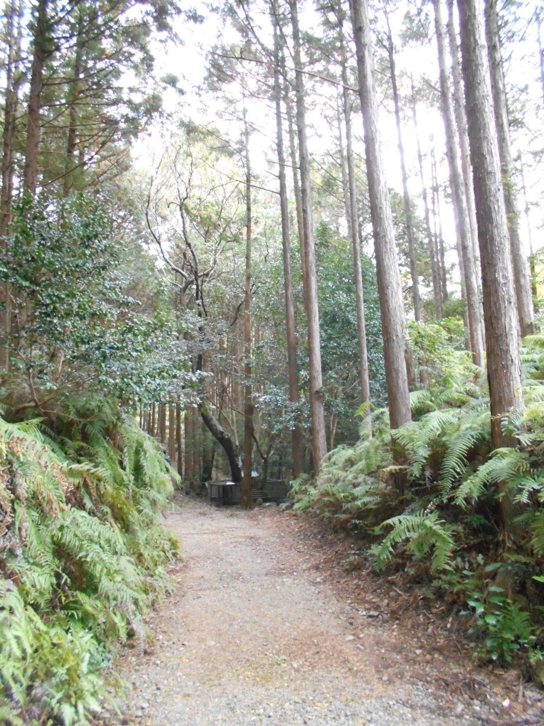 山の神の神事
