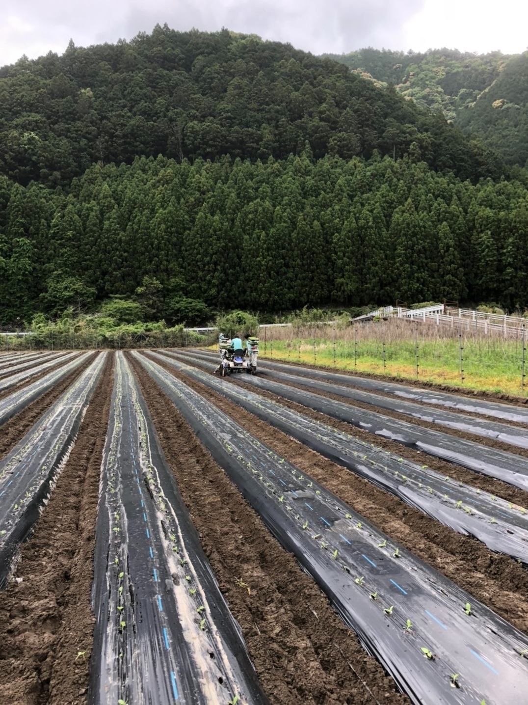 新入社員研修2021 第4回