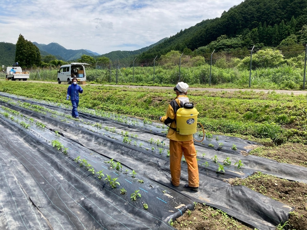 新入社員研修2021　第7回