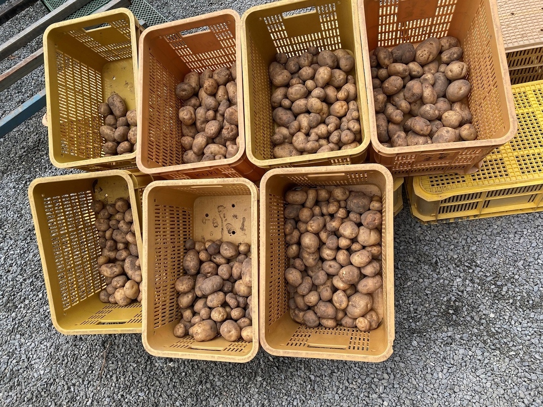 新入社員研修2021　第10回