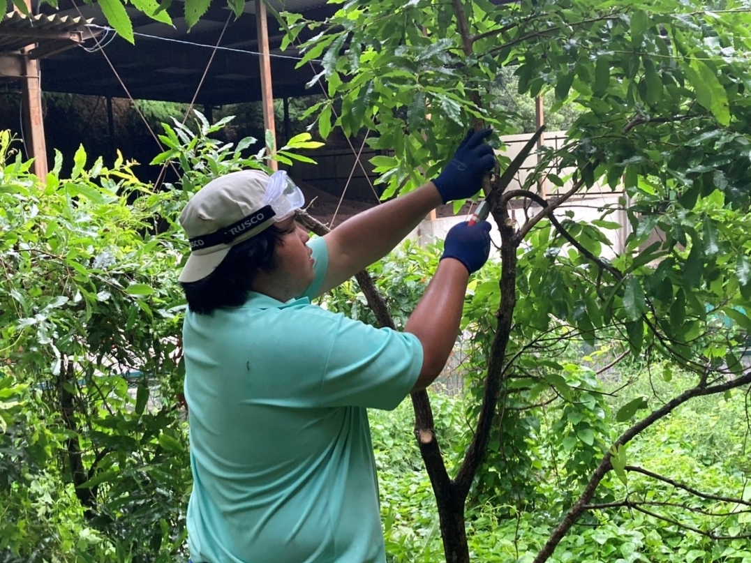 新入社員研修2021　第11回