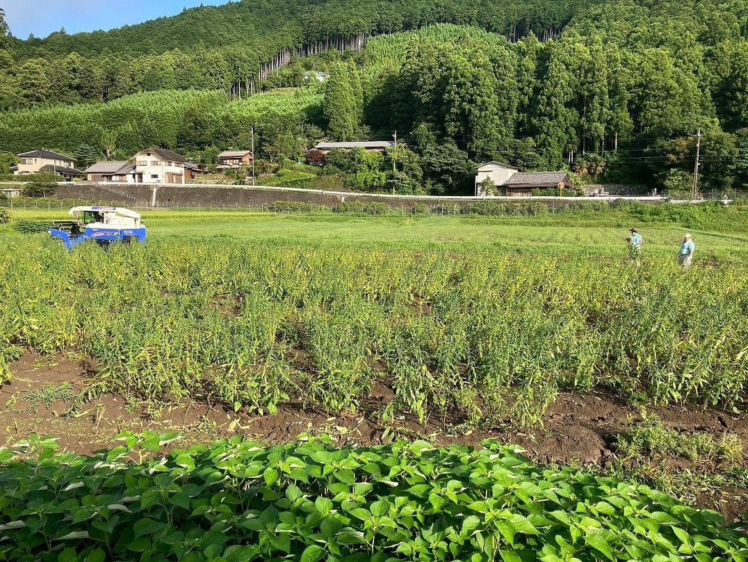 新入社員研修2021　第14回