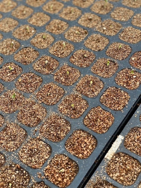 新入社員研修2020年 第2回