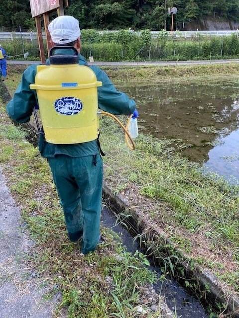 新入社員研修2020年 第14回