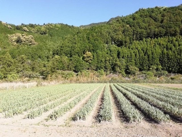 新入社員研修2020年 第4回