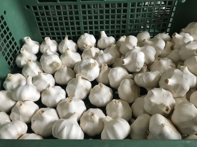 新入社員研修2020年 第8回