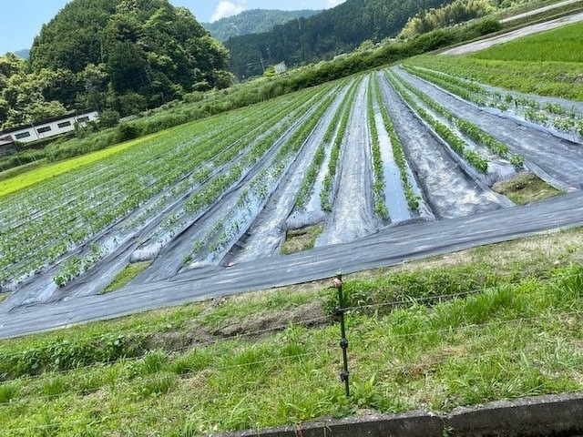 新入社員研修2020年 第10回