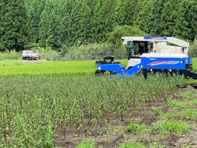 新入社員研修2020年 第11回