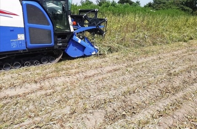 新入社員研修2020年 第12回