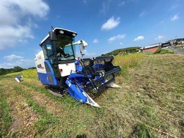 新入社員研修2020年 第13回