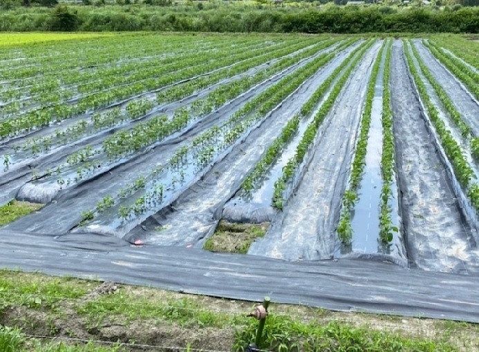 新入社員研修2020年 第7回