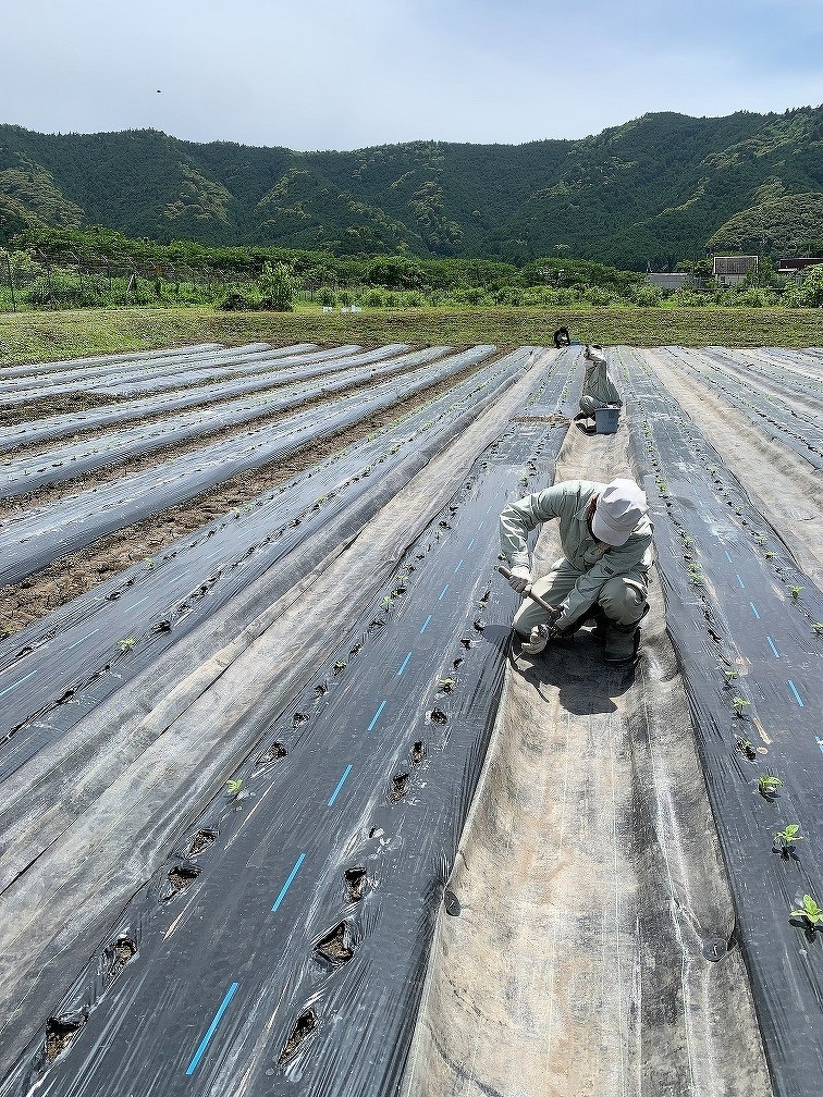 新入社員研修2021　第5回