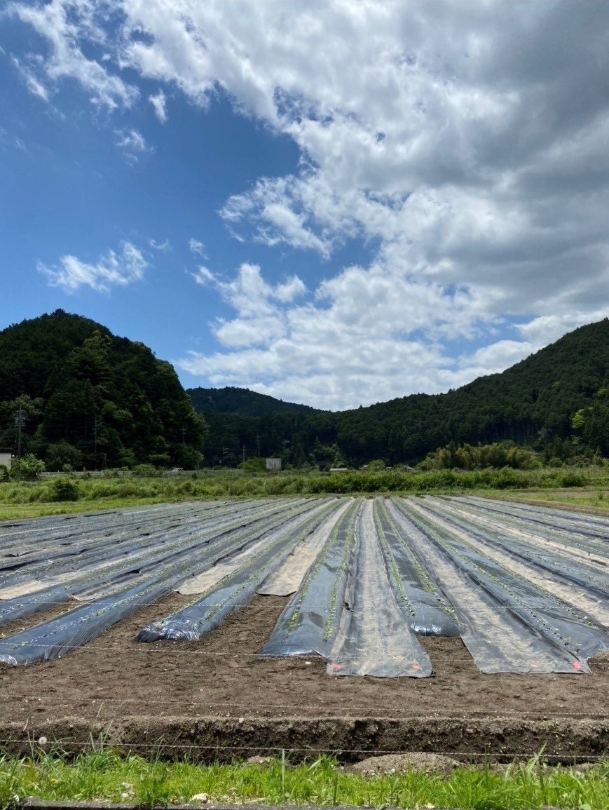 新入社員研修2020年 第5回