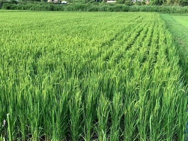 新入社員研修2022 第15回