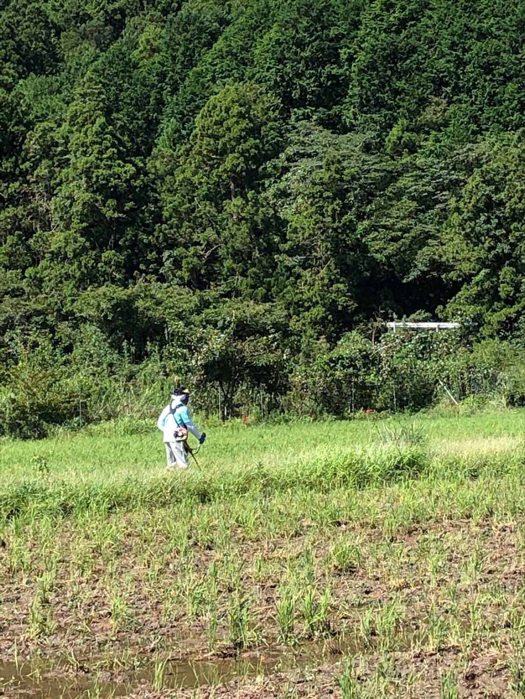 新入社員研修2022 第21回2