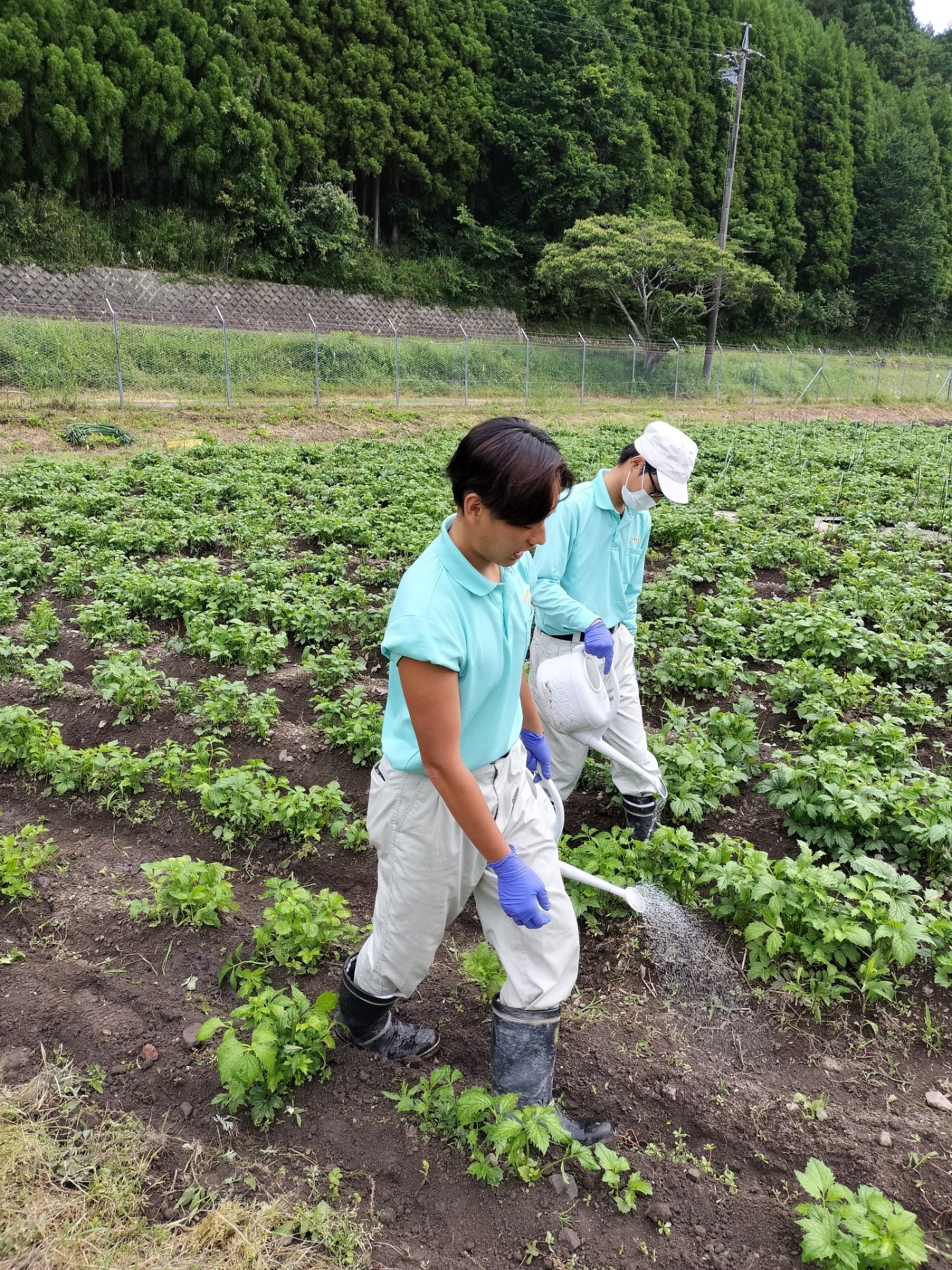 新入社員研修2023 第7回 ほのぼの日記 九鬼産業